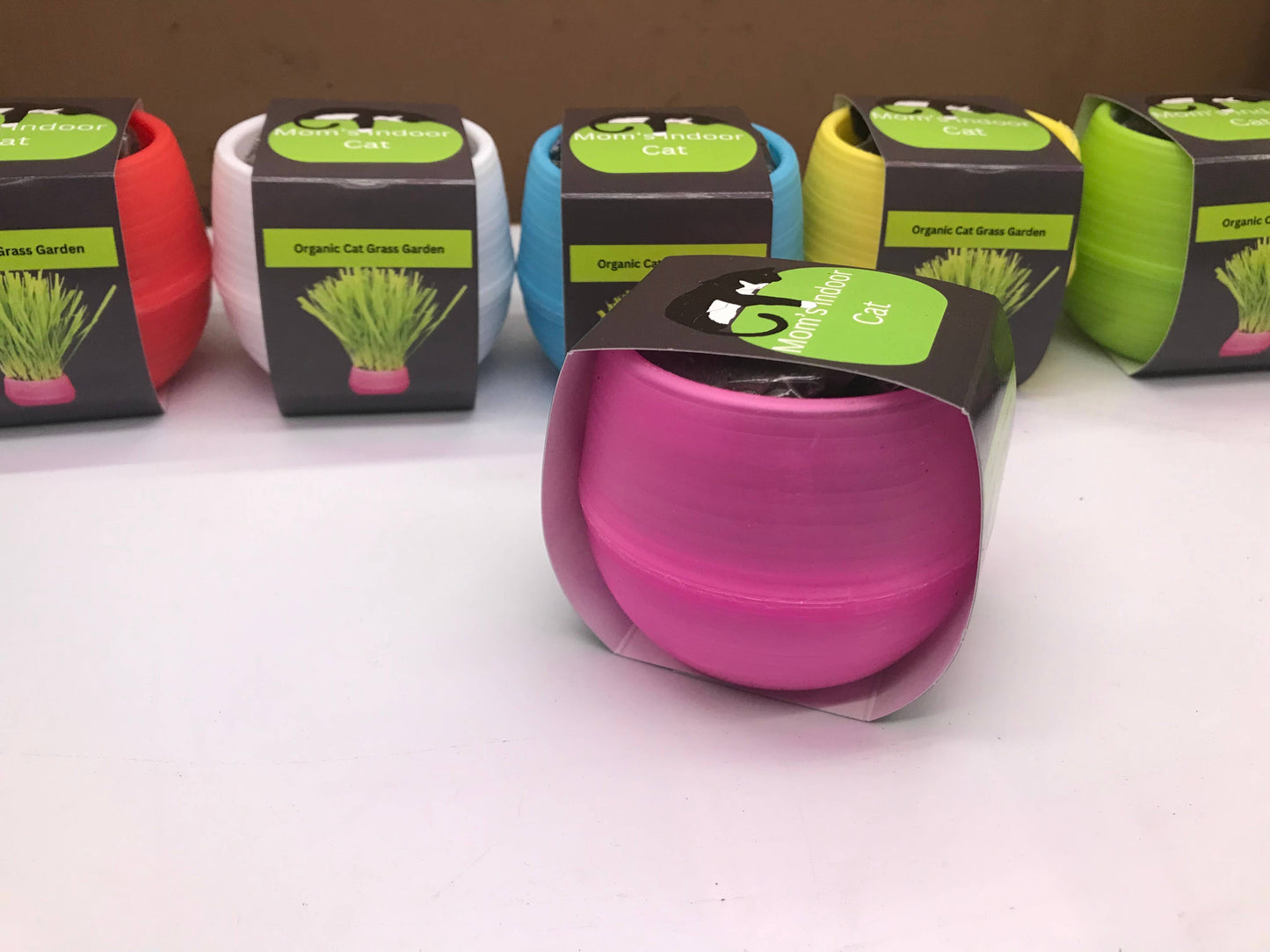 Cat Grass Gardens