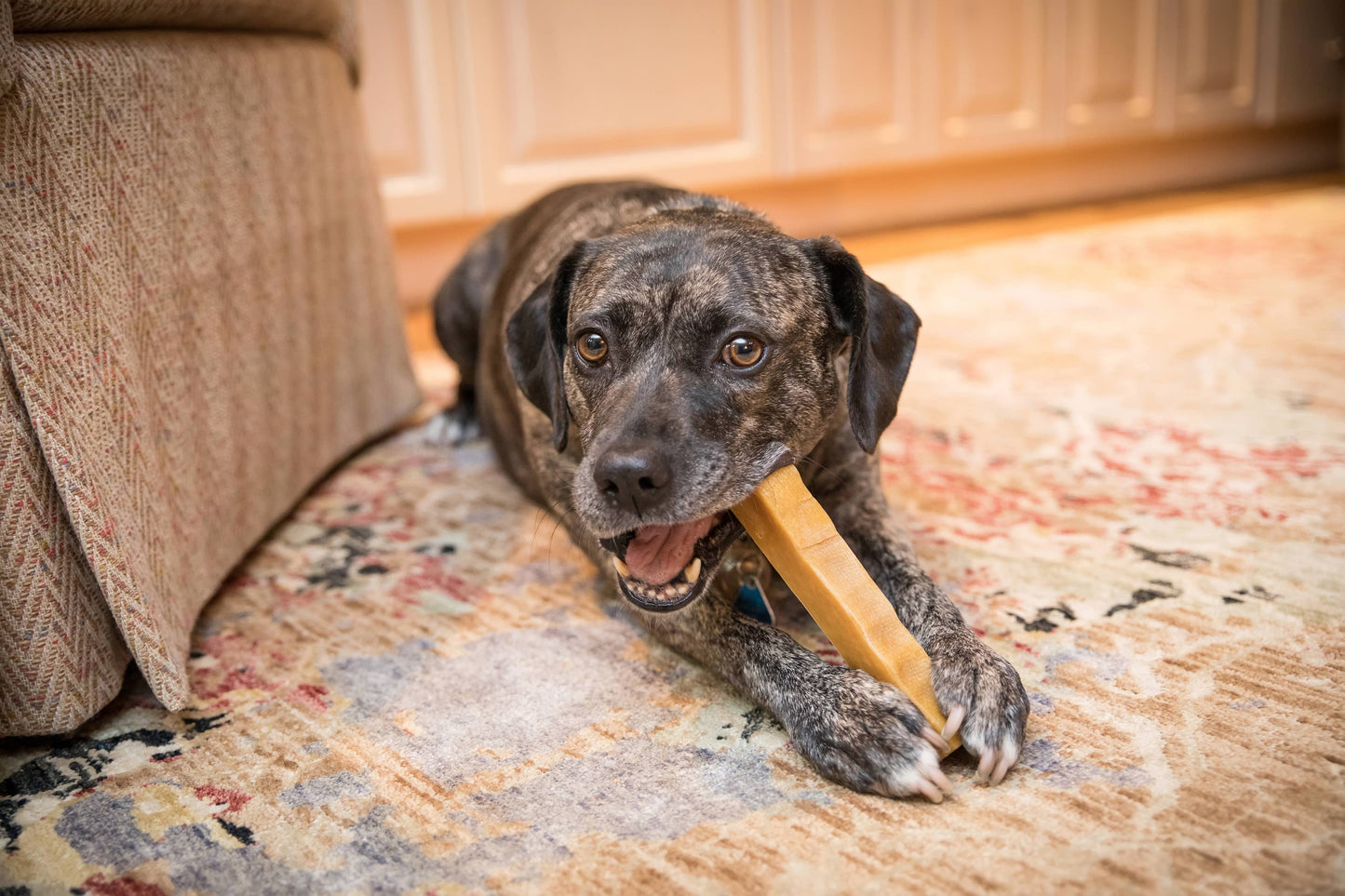 KATHMANDU'S Himalayan Yak Chews: Large (3.3 - 4.0 oz)