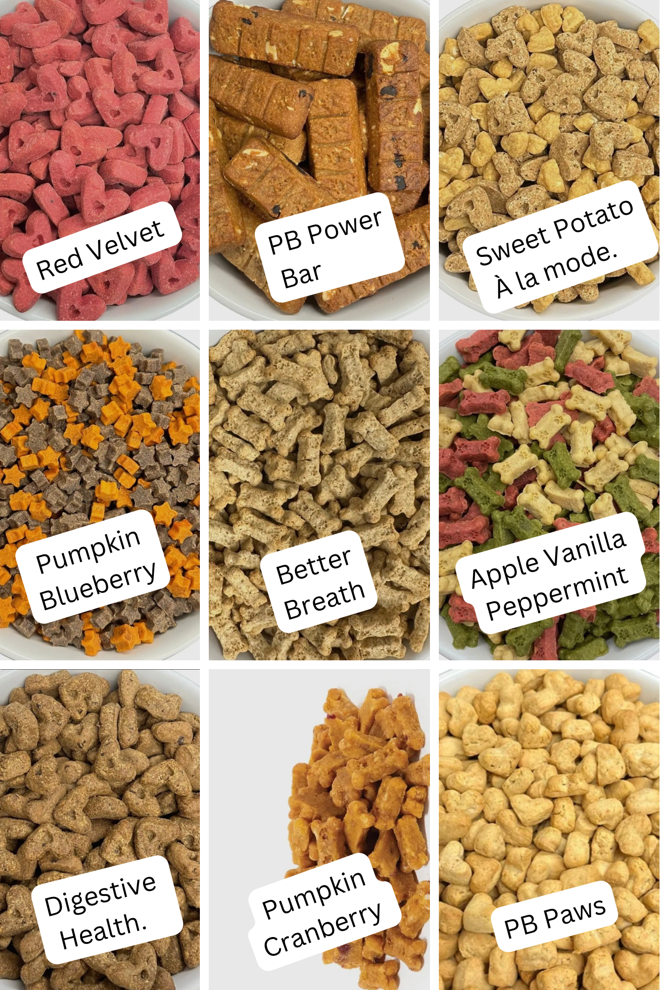 Mutt Munchies Dog Treat Bag