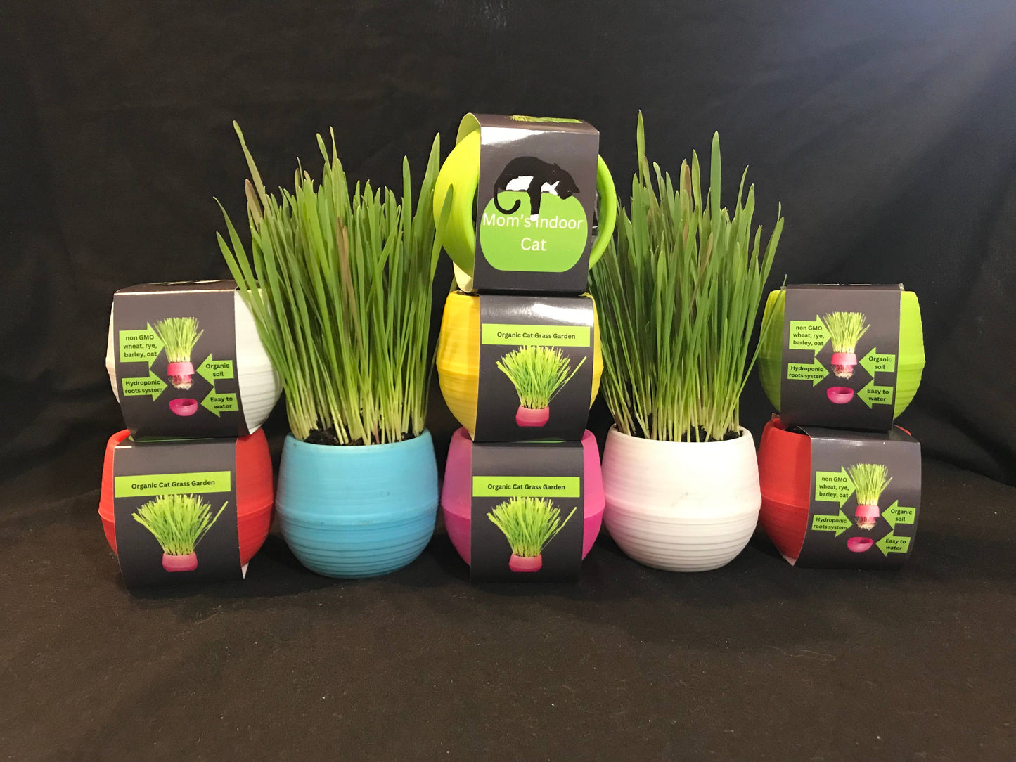 Cat Grass Gardens