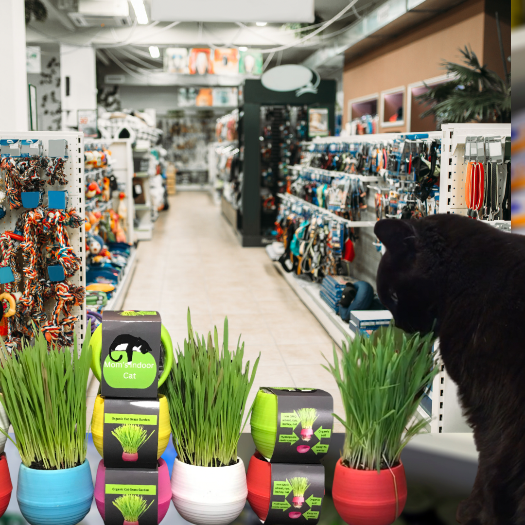 Cat Grass Gardens