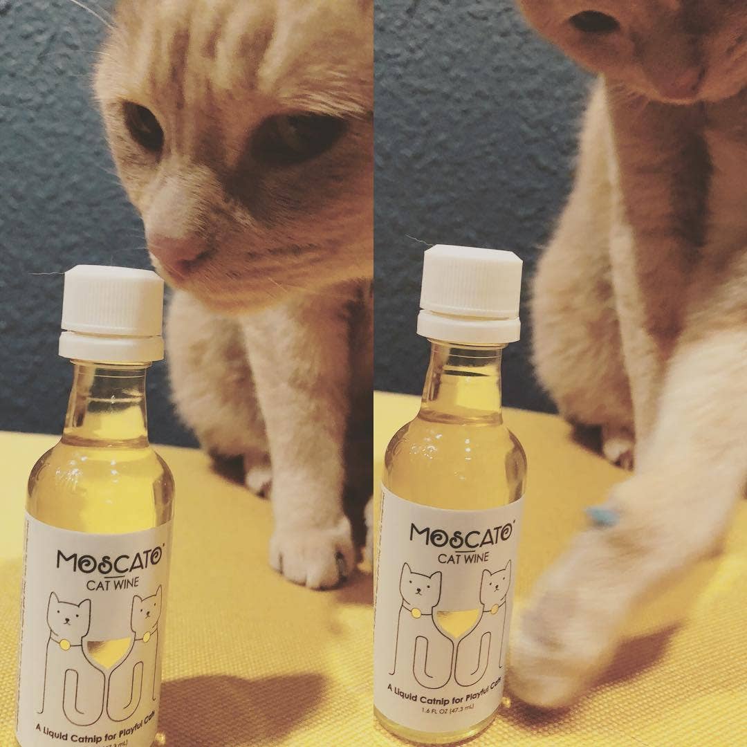 MosCATo Cat Wine Liquid Catnip For Cats
