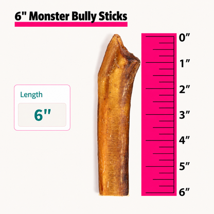 Bully Sticks & Rings