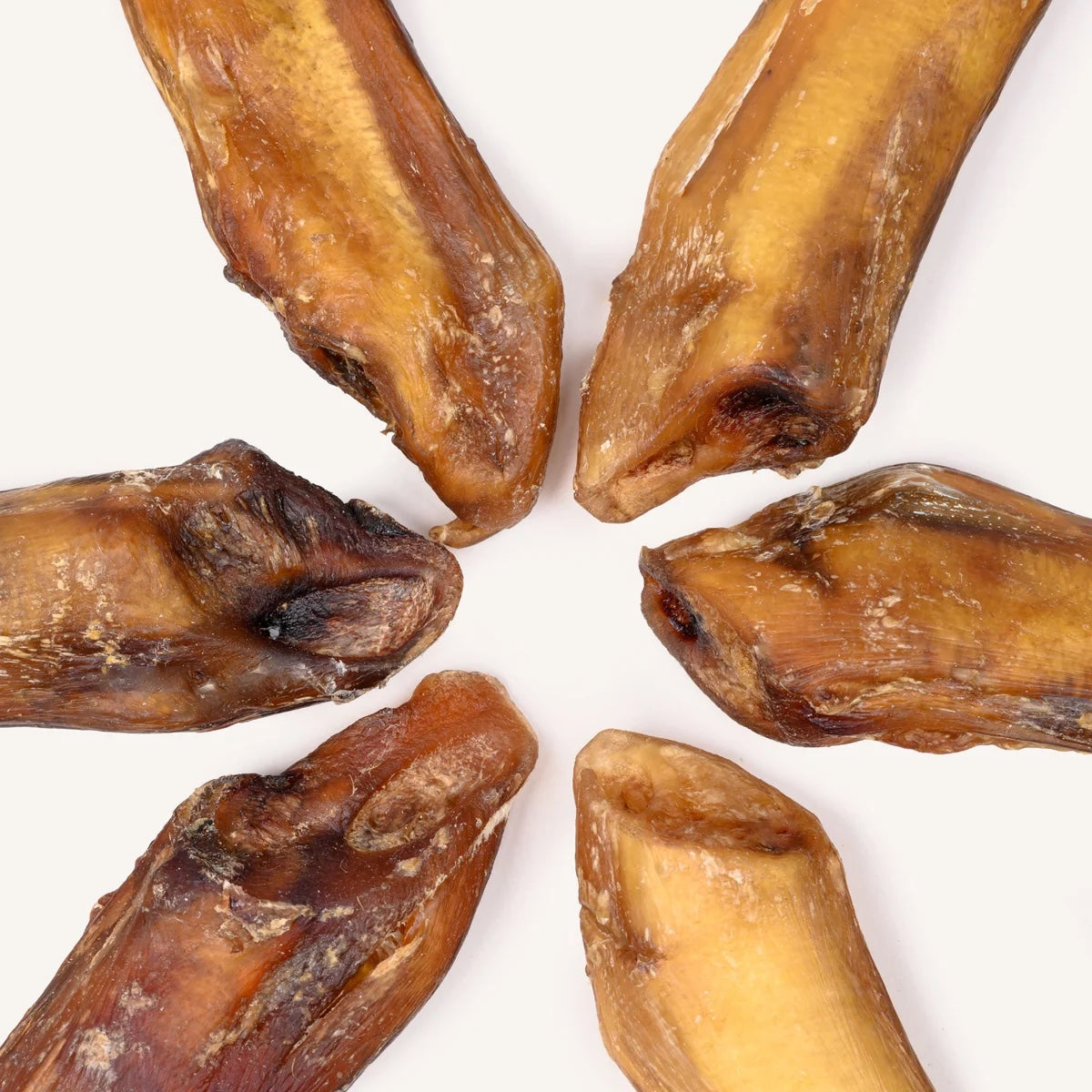 Bully Sticks & Rings