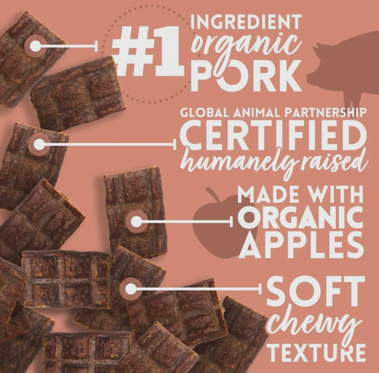 Tender and True Organic Pork Recipe