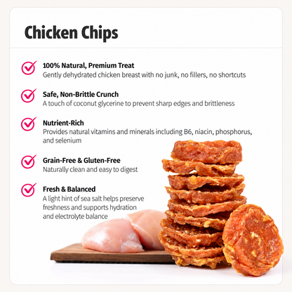 Savory Dog Treat Chips