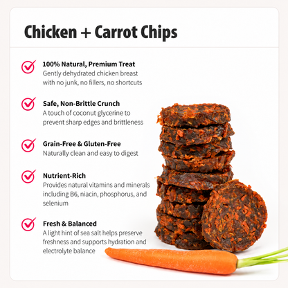 Savory Dog Treat Chips