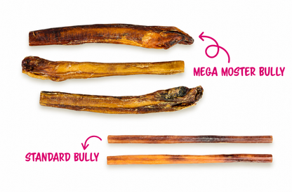 Bully Sticks & Rings