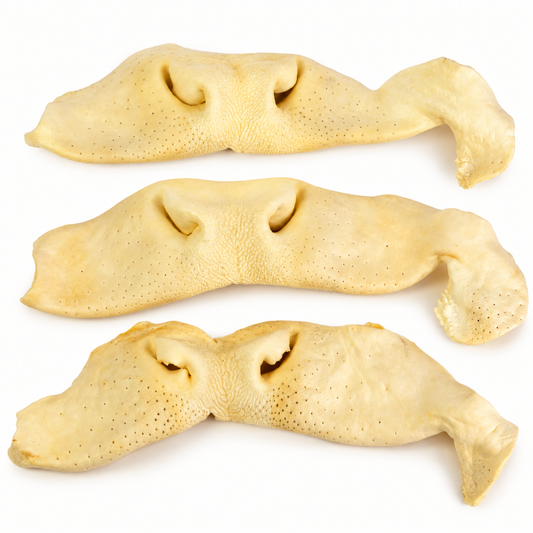 Beef Snouts