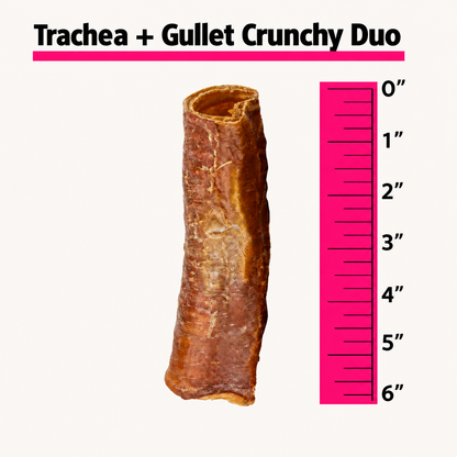Trachea & Gullet Crunchy Duo